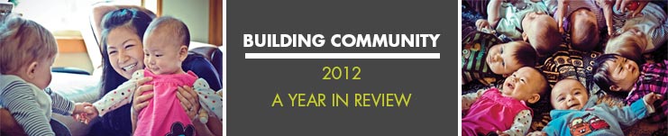 2012 Annual report cover banner