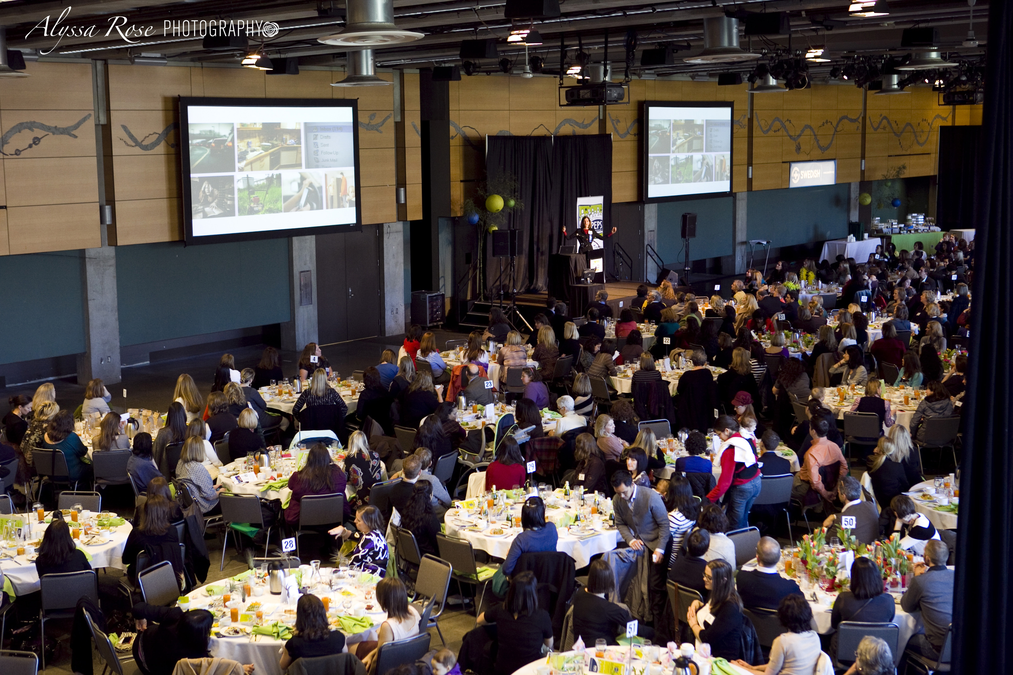2013LuncheonOverview