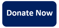 donate now button smaller
